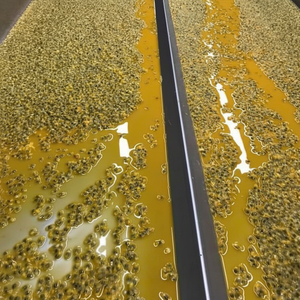 Produit tropical premium : Fruit de la passion surgelé authentique, parfait pour les jus, vente en gros, fraîchement congelé pour une qualité optimale - Product Image 1