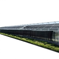 Invernadero Venlo de Vidrio Templado con Estructura de Acero y Sombreado Externo para Agricultura y Turismo
