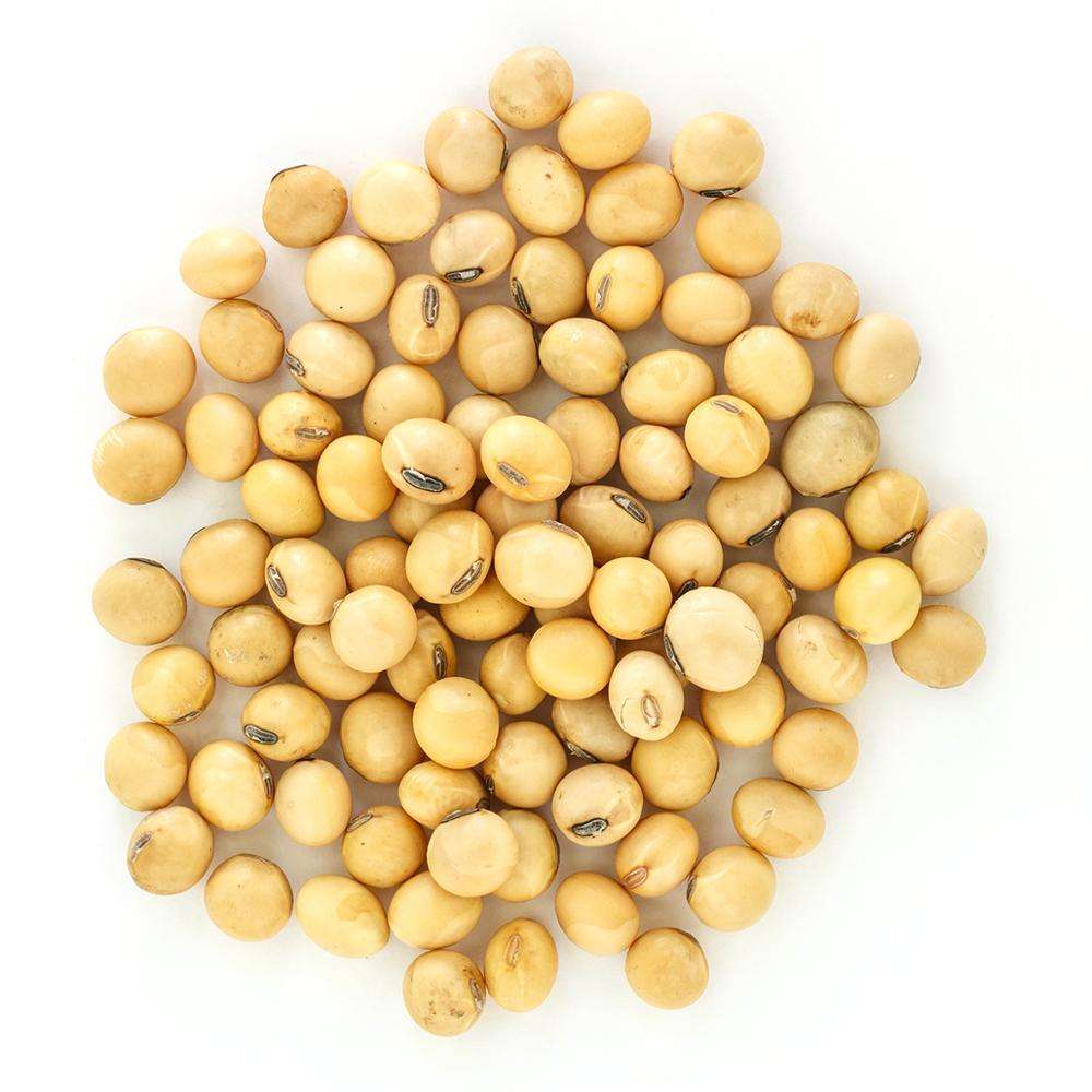high quality non gmo soybean / soybean meal / yellow corn