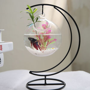 Réservoir de poissons de bureau Betta <span class=keywords><strong>Aquarium</strong></span> <span class=keywords><strong>Double</strong></span> réservoir de poissons en verre transparent suspendu - Product Image 3