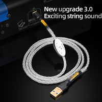 Câble audio USB HIFI à 8 brins tressés avec noyau en argent, prise de type A-B, décodage de données DAC, câble de données USB pour ordinateur, mixeur