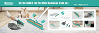 Kit multifonctionnel pour enlever les poils d'animaux et gratter les tapis