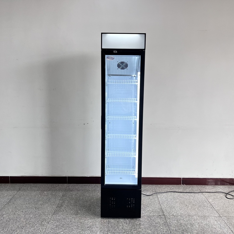 Small Capacity Upright Single Door Air