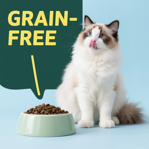מזון יבש דגן פפוח טבעי מזון יבש לחתולים - Product Image 5