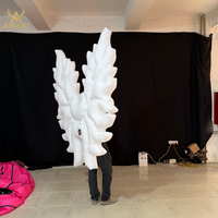 Ailes de papillon gonflables personnalisées de 2,5 m avec souffleur, accessoire de défilé et de fête, ballon lumineux à LED