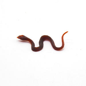 Април Дни дураков, игрушечные насекомые, тараканы, паучий муравей, многоножка, Скорпион, геккон, муха, приколы и розыгрыши - Product Image 4