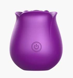 Высококачественный мини-вибратор в форме розы для стимуляции клитора, 10 режимов, водонепроницаемый, USB, для дропшиппинга - Product Image 1