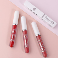 Rouge à lèvres liquide mat velours rose nude hautement pigmenté en 18 couleurs, tendance, boîte de gloss à lèvres personnalisée avec logo