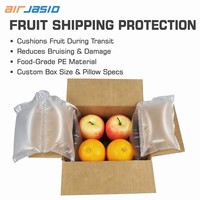 Coussin d'air protecteur transparent en PA+PE recyclé et écologique pour l'emballage d'expédition