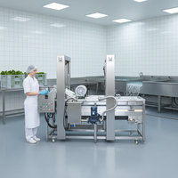 Industriële KAYA motor aangedreven was- en verwerkingslijn voor fruit (avocado, mango), groenten (aardappel) en andere producten.