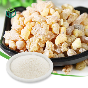 Polvo de Extracto de Boswellia <span class=keywords><strong>Serrata</strong></span> Chino al por Mayor, Polvo de Extracto de Resina de Incienso, Soluble en Agua, 65% de Ácido Boswélico - Product Image 1
