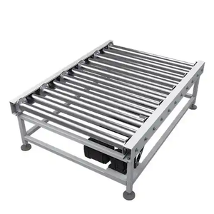 Meyve veya mal üretim hattı için özel yapılmış otomatik makaralı konveyör sistemi - Product Image 1
