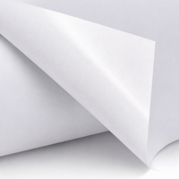 Rouleau de vinyle auto-adhésif blanc brillant amovible S3012, résistant à l'eau et écologique, pour autocollants de carrosserie automobile (usine)