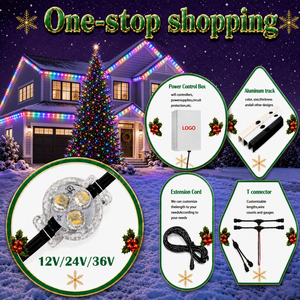 Lumières ponctuelles adressables DC12V 24V 36V, étanches IP68, RGBW, éclairage décoratif extérieur permanent pour la maison - Product Image 5