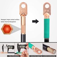 OEM fil de cuivre de haute qualité pvc 2GA 4GA 6GA kit sertissage chariot de golf câble de charge de batterie de voiture