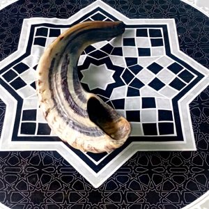 Shofar unique en corne de bélier naturelle, écologique, poli brillant, pour usage religieux et cadeaux pour la maison/les entreprises - Hs Husnain Crafts, bon prix - Product Image 1