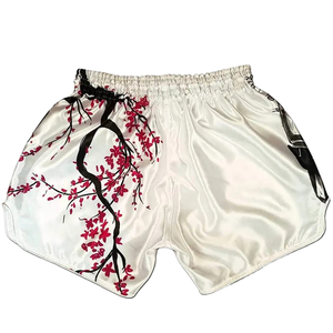 Pantalones Cortos Personalizados de Boxeo y Lucha Libre, Duraderos, Ajustados, de Secado Rápido, Compresión, Sublimación, Unisex, Tallas Grandes, Spandex/Poliéster, Logotipo Frontal - Product Image 1