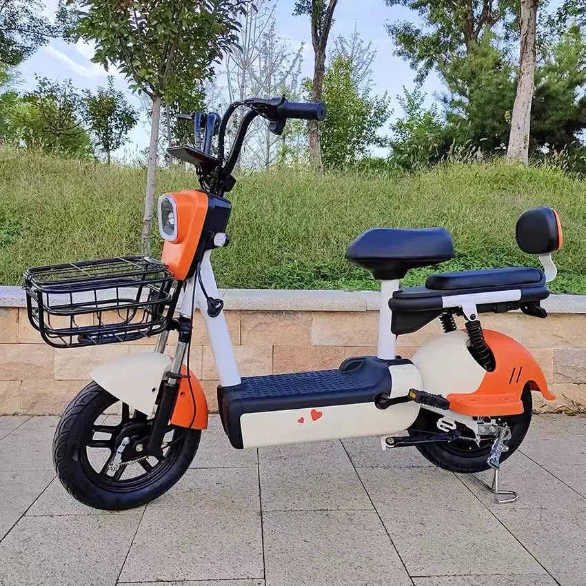 Door to Door E Cycle 3 speed electronic cycle 500W 48V big saddle electric cycle