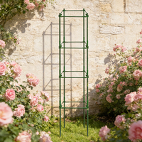 Cage à tomates assemblée - Type carré triangulaire en acier recouvert de plastique pour support de plantes, imperméable, antirouille, usage domestique