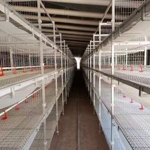 Pouliche galvanisée à chaud avec batterie automatique à 4 niveaux en forme de H, cage d'élevage de poulets de chair au meilleur prix, durée de vie de 20 ans - Product Image 4