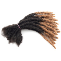 Dreadlock all'ingrosso Ombre in Capelli Naturali 100% Veri, 4-28 pollici, 0.6, Estensioni Interlock Dread Lock all'Uncinetto in Capelli Umani