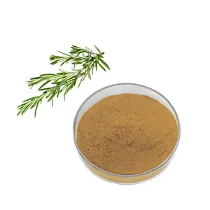 Factory Wholesale Rosemary leaf Extract Power 20%Rosemarinic Acid