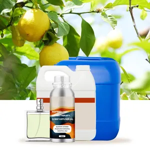 Customized Private Label Lemon Perfume Fragrance Oil Branded Concentrated Dubai Designer Perfume Oils Wholesale