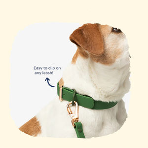Wasserdichtes, verstellbares Luxus-Hundehalsband, schmutzabweisendes PVC, leicht zu reinigen, weich, flexibel, langlebig, Designer, personalisierbar, Anti-Verlust - Product Image 4