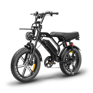 Vélo électrique QMWHEEL Fatbike V20 Limited 250W 20 pouces 48V 15.6Ah Double suspension Verrouillage en fer à cheval Autonomie de 60 km Vélo tout-terrain électrique - Product Image 2