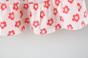 Vestido de Verano para Bebés al por Mayor, Ropa para Niñas, Vestidos de Princesa Florales con Lazo de Proveedor Chino, Como se Muestra en la Imagen - Product Image 6