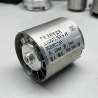 Moteur BLDC Micro 310V DC 105000 tr/min à Vitesse Élevée, Mini Moteur Sans Balais pour Sèche-Cheveux et Ventilateur Soufflant – Vente Directe Usine