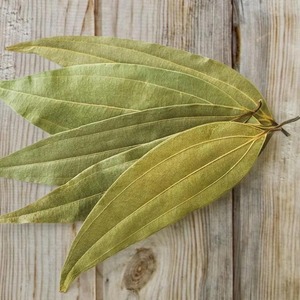 <span class=keywords><strong>Feuilles</strong></span> <span class=keywords><strong>de</strong></span> <span class=keywords><strong>Laurier</strong></span> Fraîches Brutes les Plus Vendues, 100 Pièces, Qualité Supérieure, Approvisionnement en Gros pour l'Exportation, Épice Aromatique - Product Image 2