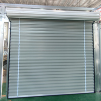 Portes en acier à enroulement, mini entrepôt, portes à enroulement pour stockage personnel, prix bas, haute qualité
