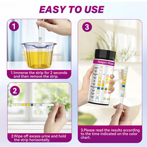 Fabrik-Lieferungen Urinanalyse-Reagenz Urin-Teststreifen 10 Parameter - Product Image 6