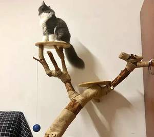 Vente en gros de chat mignon condo meubles en bois de pin Kratzbaum griffoir Cattree arbre tour maison cadre d'escalade - Product Image 2