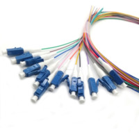 0.9mm 12 Couleur/noyau Ruban Patch Cordon Sc Upc Apc Monomode Lc Fc St E2000 G652D Sm Mm Om2 Om3 Om4 12core Fibre Optique Pigtail