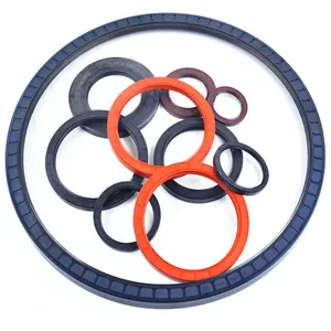 Famous brand oil seal framework TC oil seal hydraulic rotary shaft FKM NBR rubber TG oil seal