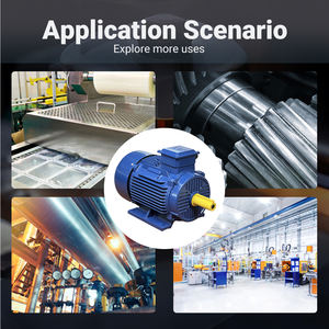 उच्च दक्षता प्रेरण 2.2kw 3hp ie2 380v तीन चरण मोटर्स एसी इलेक्ट्रिक मोटर - Product Image 5