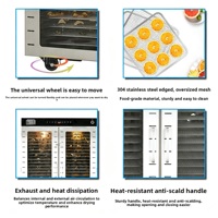 100-laags commerciële voedseldroger met touchscreen bediening, roestvrij staal, voor noten en gedroogd fruit, 4000W automatische droogmachine