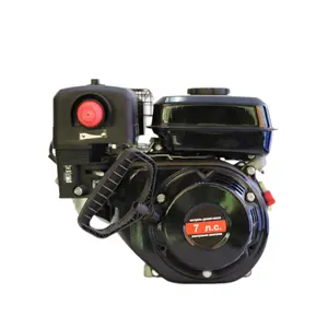 7hp 4 Stroke Air Cooled Small Gasoline Petrol Engine for Agriculture