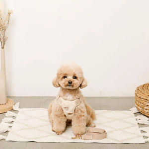 パーソナライズデザイナー刺繍ぬいぐるみテディベアフリース犬用ハーネスキルティングパッド入り生地調整可能ペット猫用ハーネス - Product Image 5