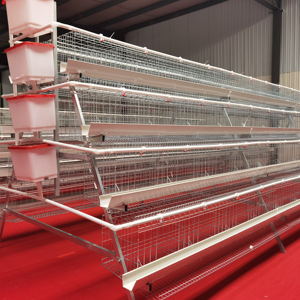 New a-loại trứng giống Gà nhà lồng Coop cho đẻ gà mái và gia cầm Gà Nuôi Pin lớp Gà nhà lồng - Product Image 1