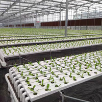 Système hydroponique horizontal NFT de haute productivité Starfarm, canal de culture galvanisé + PVC-U pour la culture des légumes