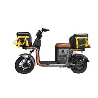 Vélo électrique 1000W 60V avec cadre en acier et batterie 60V V8, idéal pour la livraison de marchandises et de repas - Vente en gros directe usine Chine 2026
