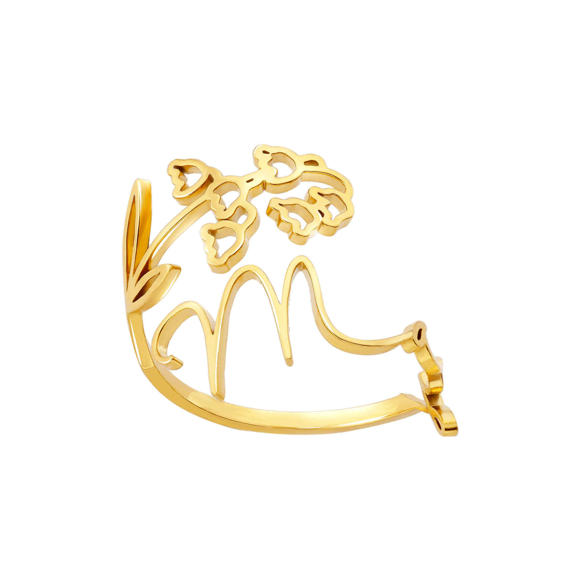 พฤษภาคม