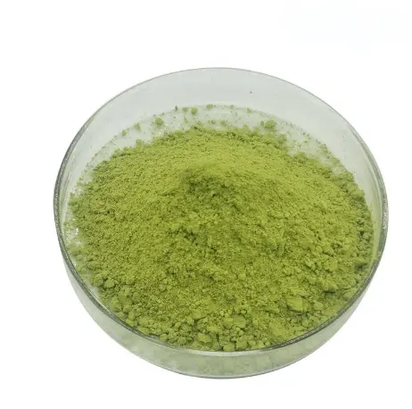 Grünes und natürliches Lebensmittelqualitäts-Gesundheitssupplement Moringa-Blätter-Extrakt Moringa-Pulver