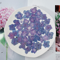 Fiori di Ortensia Essiccati e Pressati per Arte in Resina, Fai da Te, Decorazioni per Matrimoni, Regalo per Mamma, Insegnante, San Valentino, Compleanno, Bomboniera