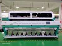 Nouvelle trieuse de gousses d'ail en acier inoxydable Wenyao Automation par taille, avec trieur de couleur IA, certifiée CE, capacité de 16000 kg, 5 kW