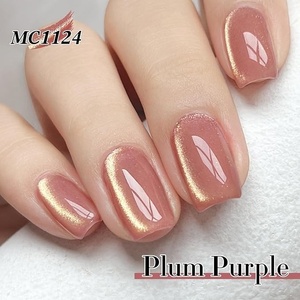 Cat Eye <b>Gel</b> Polish Set Shimmer Glitter with Magnet Holographic Reflective Magnetic UV Nail Art <b>Kit</b> - Product Image 3