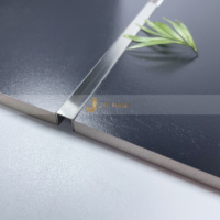 Profilé de finition en acier inoxydable brossé EX733, moderne, durable, étanche, bande décorative en laiton pour meubles d'appartement